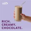 Premier Protein Powder Plus Fiber, 25g Protein, 7g Fiber, Vanilla, No Added Sugar,17 Servings(Chocolate)